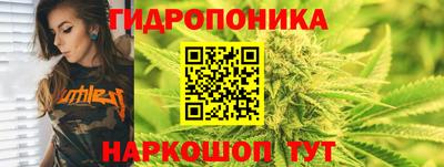 PSILOCYBIN Будённовск