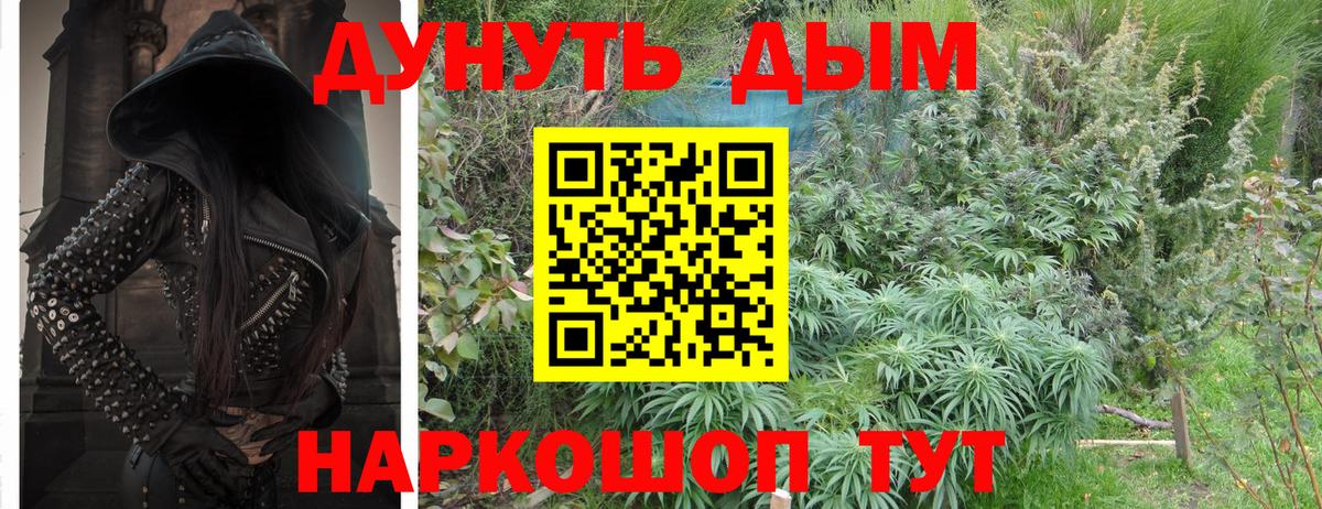 Марихуана ГИДРОПОН  Бошки марихуана AK-47  Заинск  Вход с VPN  Марихуана марихуана 